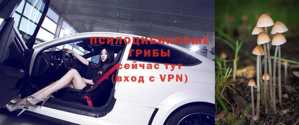 первитин Козельск