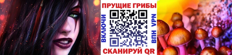 Псилоцибиновые грибы ЛСД  мега ТОР  Кизел  наркотики 