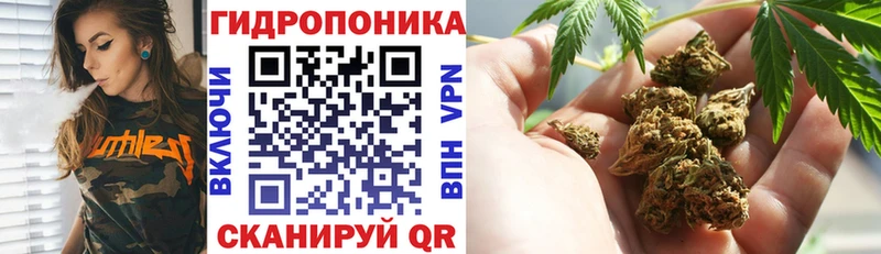 что такое наркотик  Кизел  OMG ONION  Канабис White Widow 